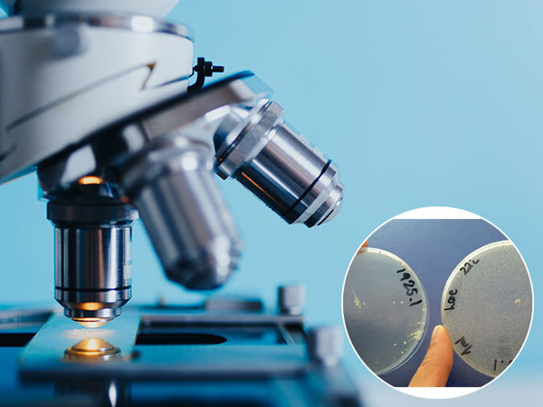 marina miracle probiotika